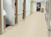 Armstrong Commercial - Standard Excelon Imperial Texture - Vinyl Composition Tile (VCT) - Sandrift White Installed