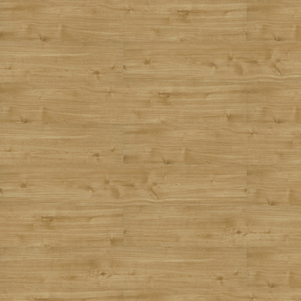 Patcraft - Eco System - Enrich Plank - 10 in. x 60 in. Luxury Vinyl - Breathe