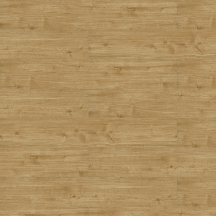 Patcraft - Eco System - Enrich Plank - 10 in. x 60 in. Luxury Vinyl - Breathe