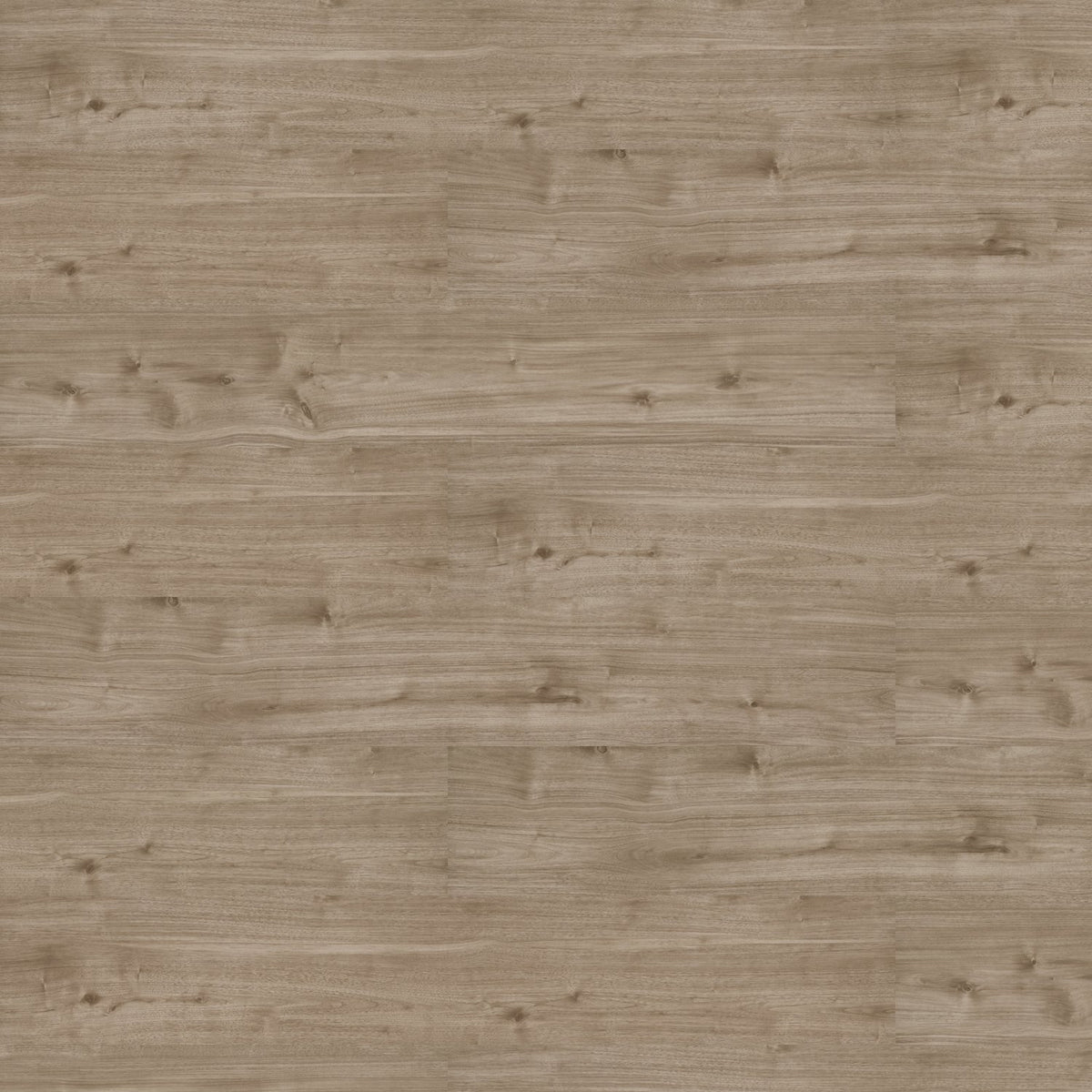 Patcraft - Eco System - Enrich Plank - 10 in. x 60 in. Luxury Vinyl - Excite