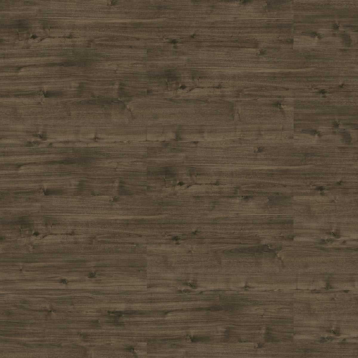 Patcraft - Eco System - Enrich Plank - 10 in. x 60 in. Luxury Vinyl - Enlighten