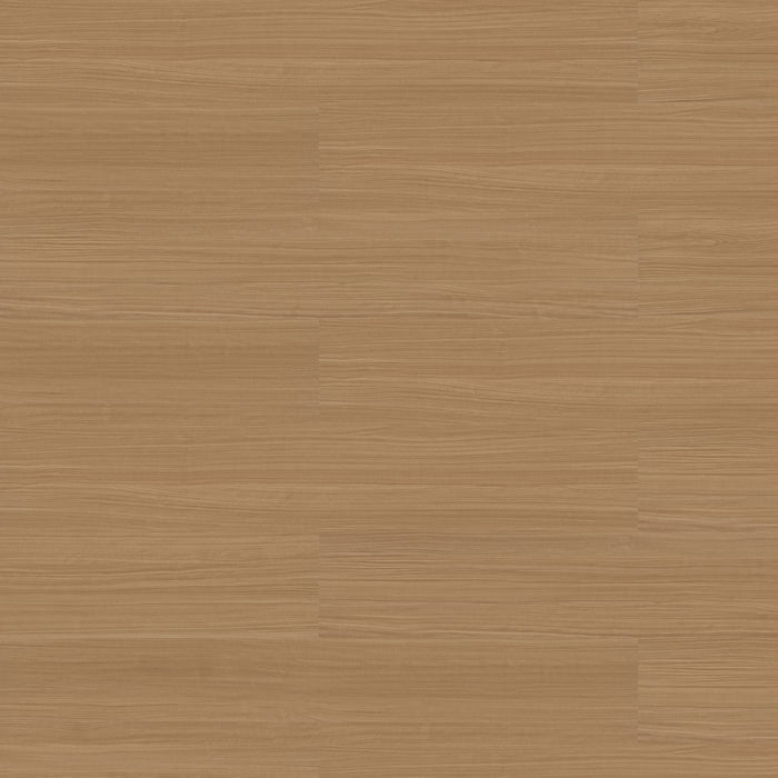 Patcraft - Eco System - Enrich Plank - 10 in. x 60 in. Luxury Vinyl - Assurance