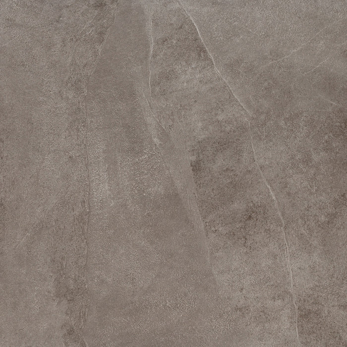 Daltile - Delegate - 24 in. x 24 in. - Porcelain Floor Tile - Matte - Light Grey