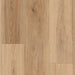 Lions Floor - District Max Luxury Vinyl Plank - Overland Park LI-DM05