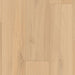 Lions Floor - District Max Luxury Vinyl Plank - Naperville LI-DM07
