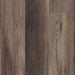 Lions Floor - District Max Luxury Vinyl Plank - Truckee LI-DM12