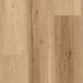 Lions Floor - District Luxury Vinyl Plank - Brighton LI-DT05