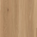 Lions Floor - District Pro Luxury Vinyl Plank - Westgate LI-DP06