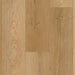 Lions Floor - District Luxury Vinyl Plank - Arlington LI-DT11