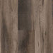 Lions Floor - District Luxury Vinyl Plank - Westfield LI-DT12