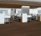 Philadelphia Commercial - Bosk - Luxury Vinyl Plank - Brazilian Nut floor installation
