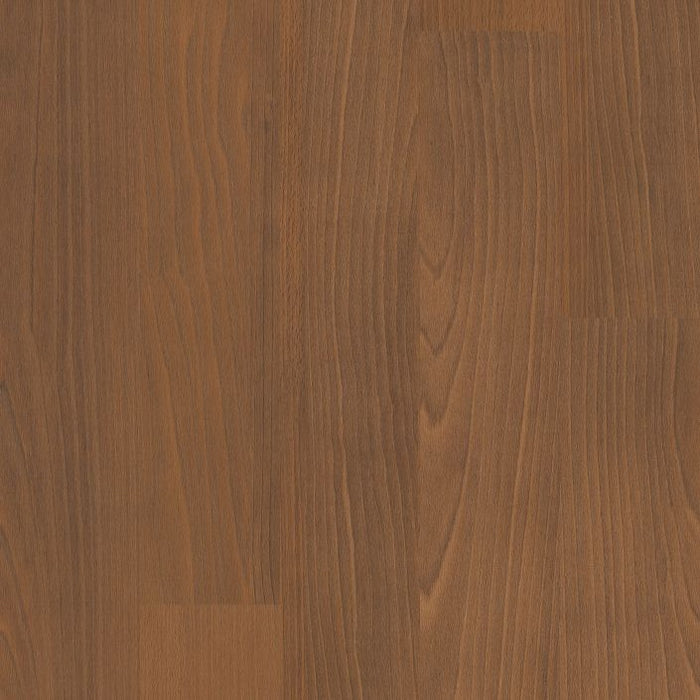 Philadelphia Commercial - Connection 4 - Luxury Vinyl Plank - Fellowship