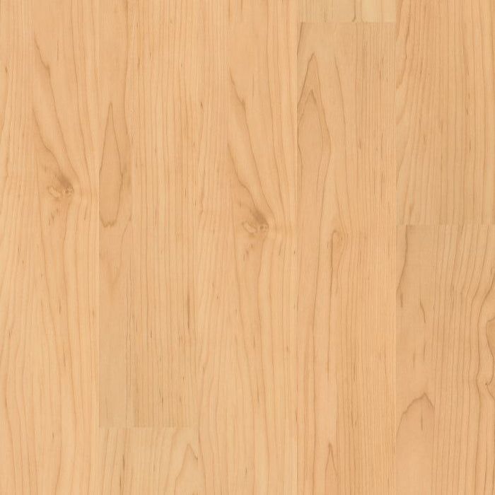 Philadelphia Commercial - Connection 4 - Luxury Vinyl Plank - Union