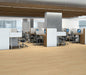 Philadelphia Commercial - Connection 4 - Luxury Vinyl Plank - Union floor installation