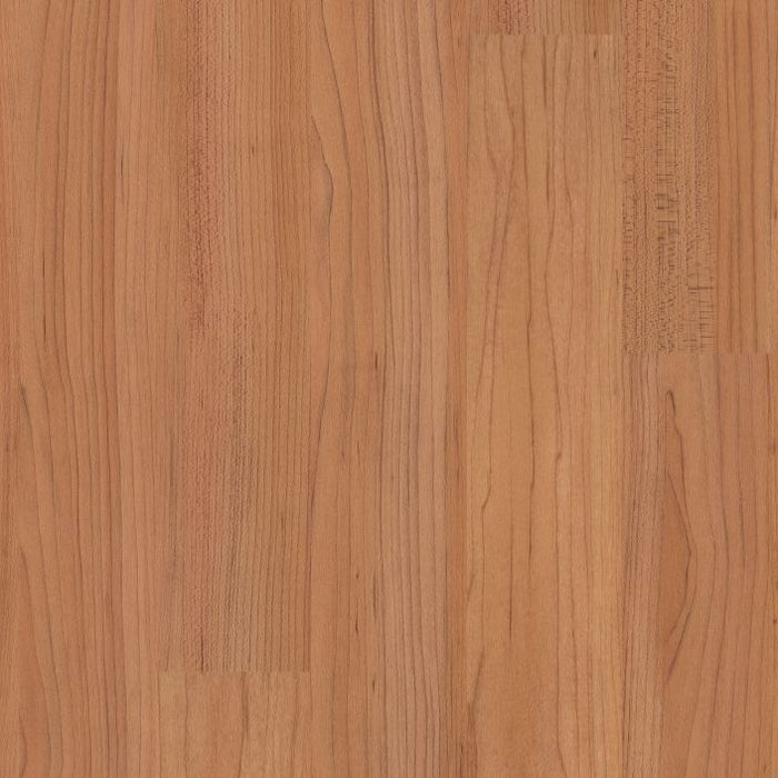 Philadelphia Commercial - Connection 4 - Luxury Vinyl Plank - Participation