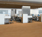 Philadelphia Commercial - Connection 4 - Luxury Vinyl Plank - Participation floor installation