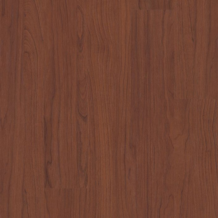 Philadelphia Commercial - Connection 4 - Luxury Vinyl Plank - Relative