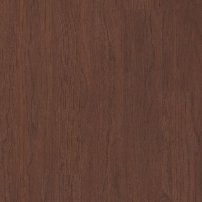 Philadelphia Commercial - Connection 4 - Luxury Vinyl Plank - Kinship