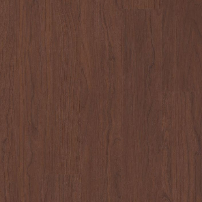 Philadelphia Commercial - Connection 4 - Luxury Vinyl Plank - Kinship