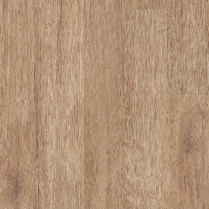 Philadelphia Commercial - Connection 4 - Luxury Vinyl Plank - Relationship