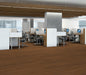 Philadelphia Commercial - Connection 6 - Luxury Vinyl Plank - Fellowship floor installation