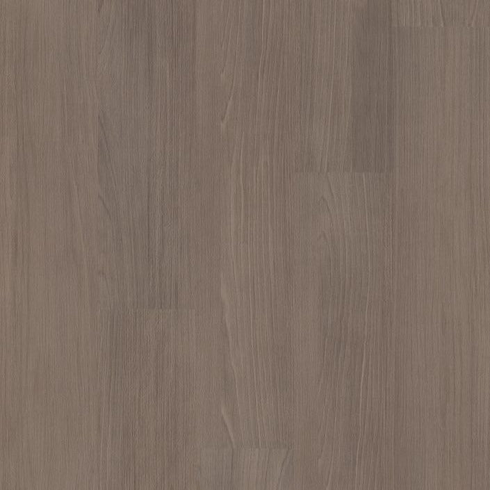 Philadelphia Commercial - Connection 6 - Luxury Vinyl Plank - Companionship