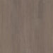 Philadelphia Commercial - Connection 6 - Luxury Vinyl Plank - Companionship