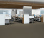 Philadelphia Commercial - Solid Structure - Vinyl Sheet - Artifact floor installation