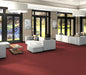 Philadelphia Commercial - Solid Structure - Vinyl Sheet - Beet floor installation