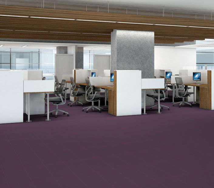 Philadelphia Commercial - Solid Structure - Vinyl Sheet - Currant floor installation