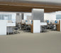 Philadelphia Commercial - Solid Structure - Vinyl Sheet - Nugget floor installation