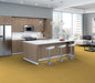 Philadelphia Commercial - Solid Structure - Vinyl Sheet - Sunset floor installation