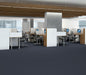 Philadelphia Commercial - Solid Structure - Vinyl Sheet - Rocky floor installation