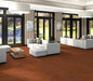 Philadelphia Commercial - Organic Structure - Vinyl Sheet - Tango floor installation