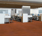 Philadelphia Commercial - Organic Structure - Vinyl Sheet - Tango floor installation