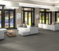 Philadelphia Commercial - Organic Structure - Vinyl Sheet - Euro floor installation