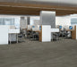 Philadelphia Commercial - Organic Structure - Vinyl Sheet - Glacier floor installation