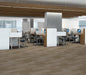Philadelphia Commercial - Organic Structure - Vinyl Sheet - Sand floor installation