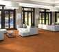 Philadelphia Commercial - Organic Structure - Vinyl Sheet - Spicy floor installation