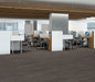 Philadelphia Commercial - In The Grain II 20 - Luxury Vinyl Plank - Freekeh floor installation