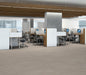 Philadelphia Commercial - In The Grain II 20 - Luxury Vinyl Plank - Rye floor installation
