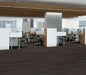 Philadelphia Commercial - Philosopher's Tree - Luxury Vinyl Plank - Burnished Timber floor installation