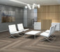 Philadelphia Commercial - Philosopher's Tree - Luxury Vinyl Plank - River Rock floor installation