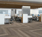 Philadelphia Commercial - Philosopher's Tree - Luxury Vinyl Plank - River Rock floor installation