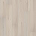 Philadelphia Commercial - Philosopher's Tree - Luxury Vinyl Plank - Pebble