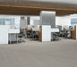 Philadelphia Commercial - Philosopher's Tree - Luxury Vinyl Plank - Fossil floor installation