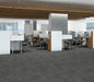 Philadelphia Commercial - Vecchio - Luxury Vinyl Tile - Pietra floor installation