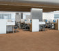 Philadelphia Commercial - Vecchio - Luxury Vinyl Tile - Serena floor installation