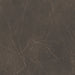 Philadelphia Commercial - Vecchio - Luxury Vinyl Tile - Antica