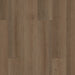 Philadelphia Commercial - Indwell 12 - Luxury Vinyl Plank - Texas Bur